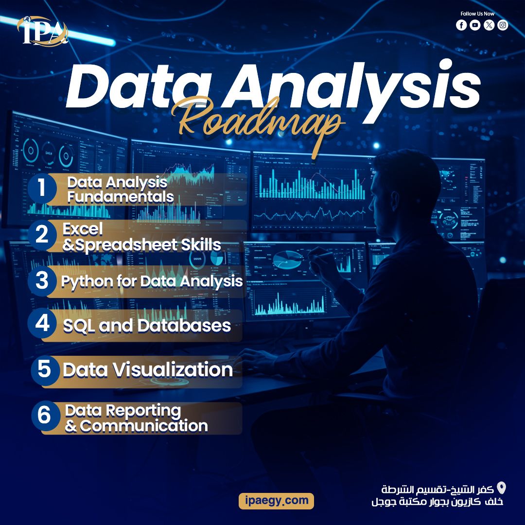 Data Analysis Professional Path